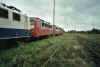 Friedhof3.jpg (49380 Byte)