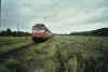 110302KP.jpg (47245 Byte)