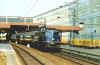 110316DM.JPG (63842 Byte)