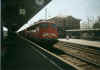 110320MZ.jpg (33956 Byte)