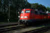 110321KP.jpg (39987 Byte)