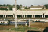 110348FKFN.jpg (44977 Byte)