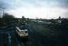 110368FN.jpg (30230 Byte)