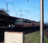 110499bKP.jpg (71612 Byte)